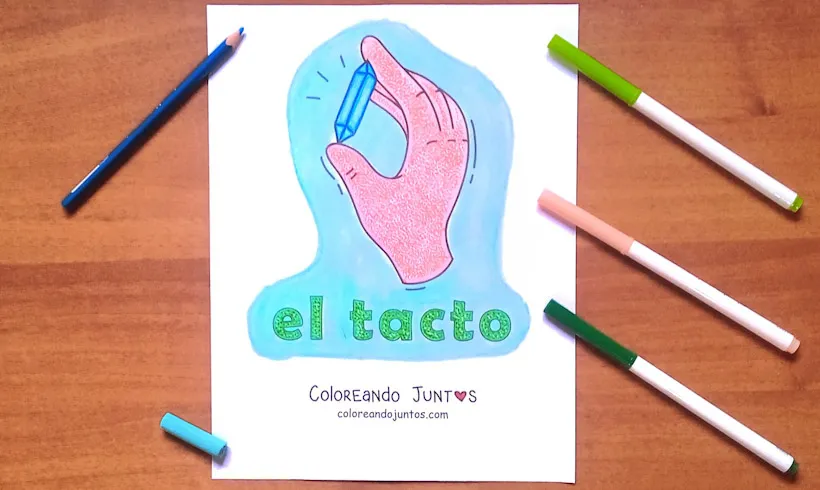 Dibujo del sentido del tacto coloreado por Coloreando Juntos