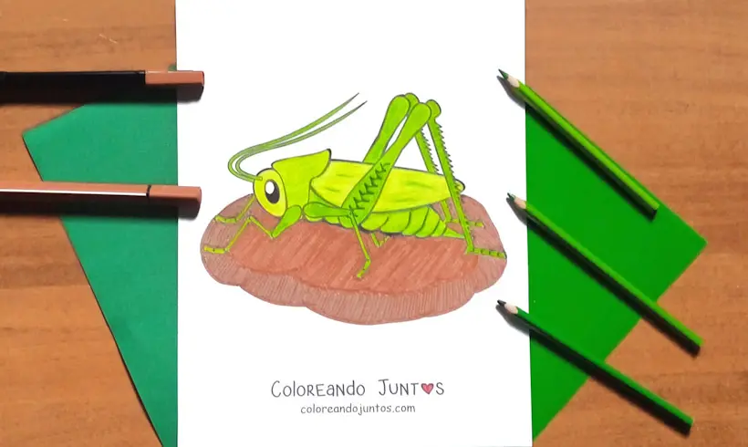 Dibujo de un grillo coloreado por Coloreando Juntos
