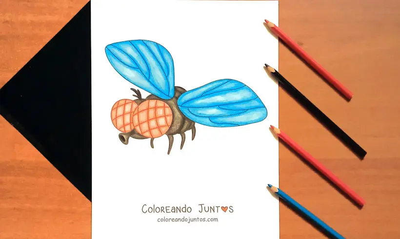 Dibujo de una mosca coloreado por Coloreando Juntos