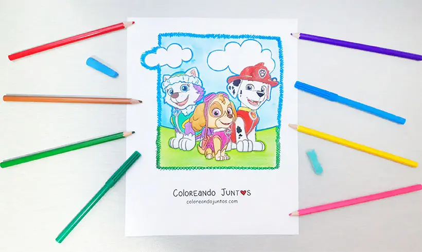 Dibujo de PAW Patrol coloreado por Coloreando Juntos