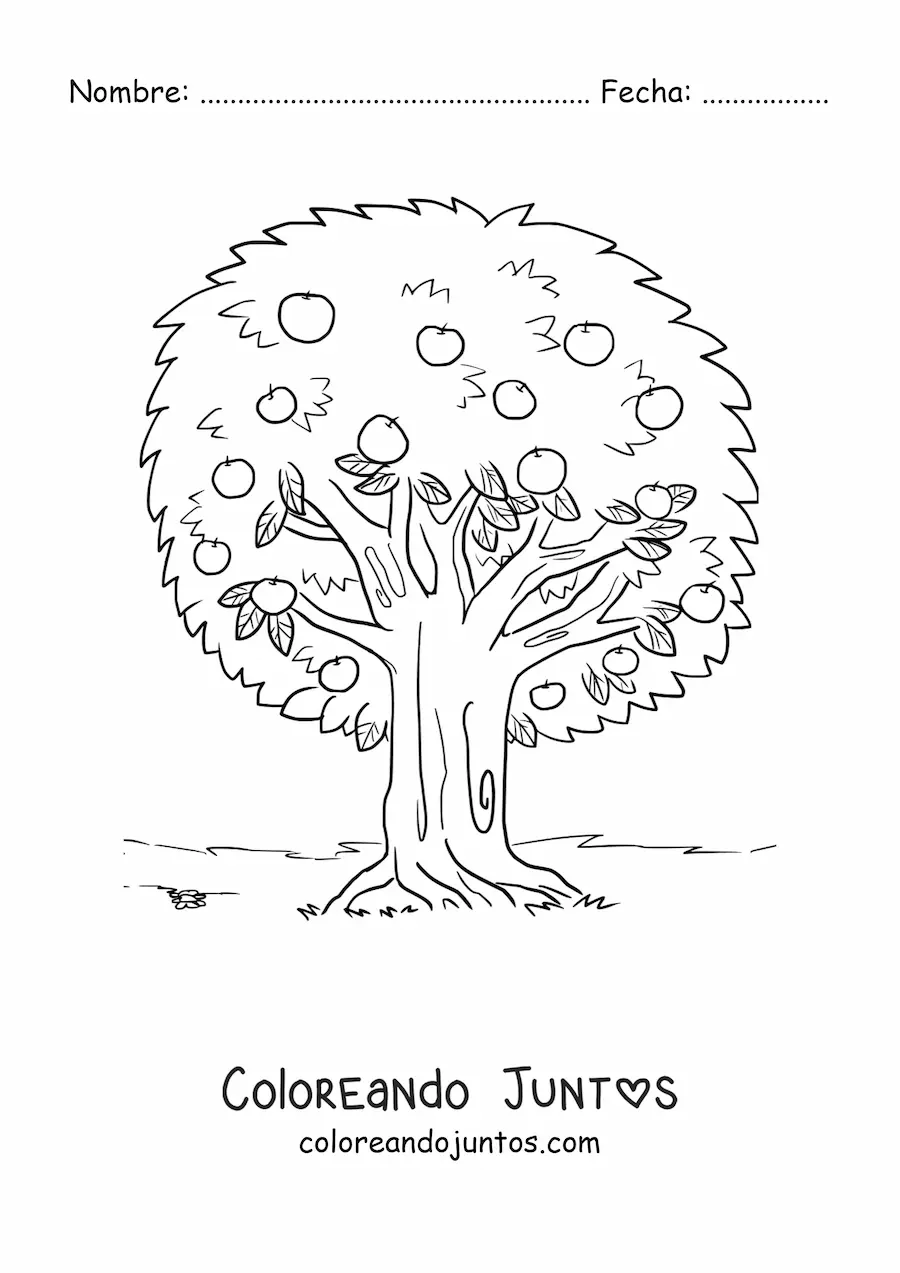 Imagen para colorear de un árbol manzano con manzanas