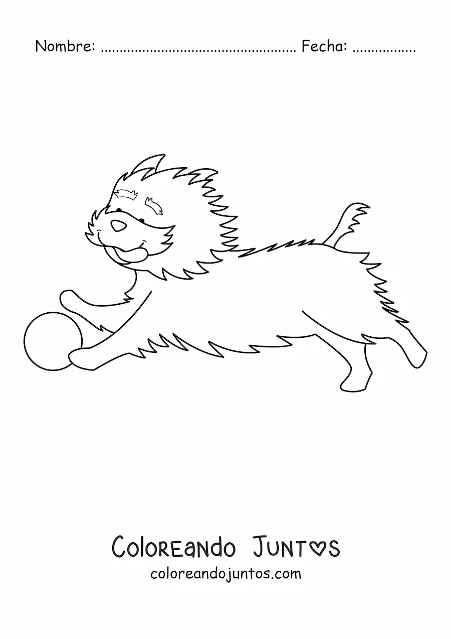 Imagen para colorear de un yorkshire terrier corriendo tras una pelota