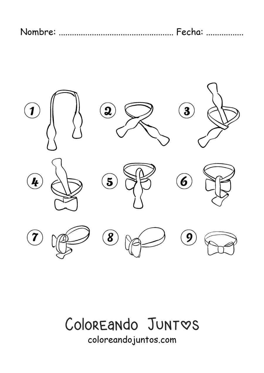 Imagen para colorear de pasos para hacer el nudo de un corbatín