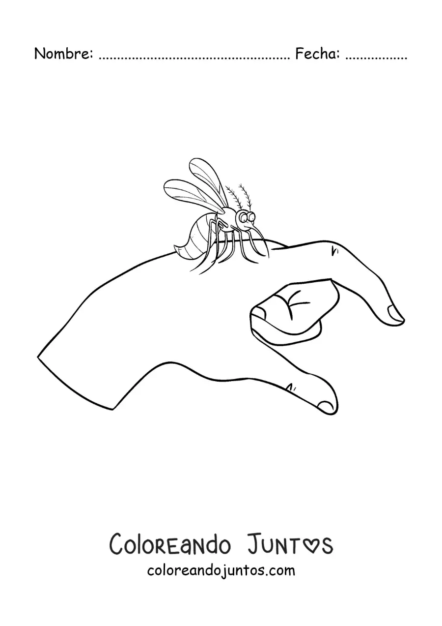 Imagen para colorear de picada del mosquito aedes aegypti