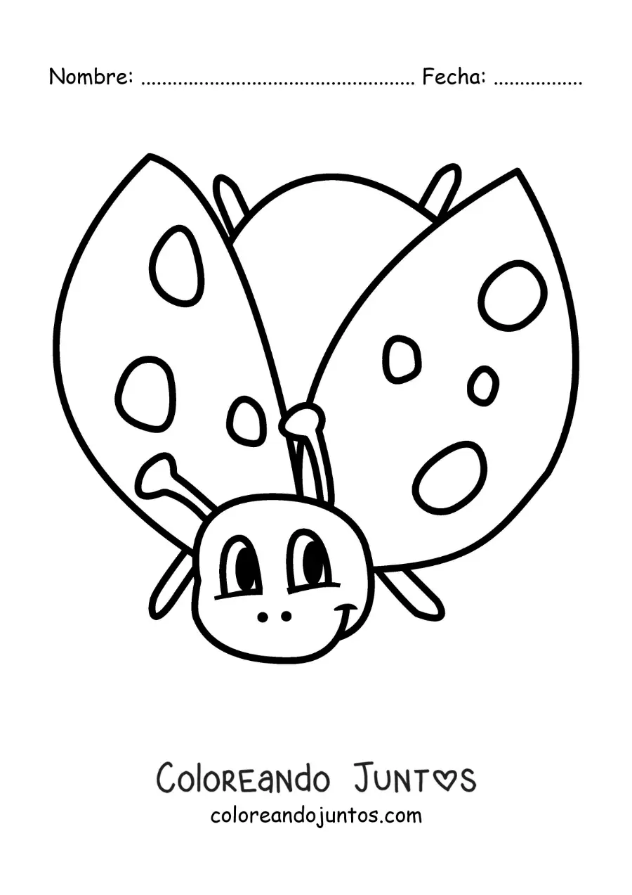 Imagen para colorear de una mariquita animada volando