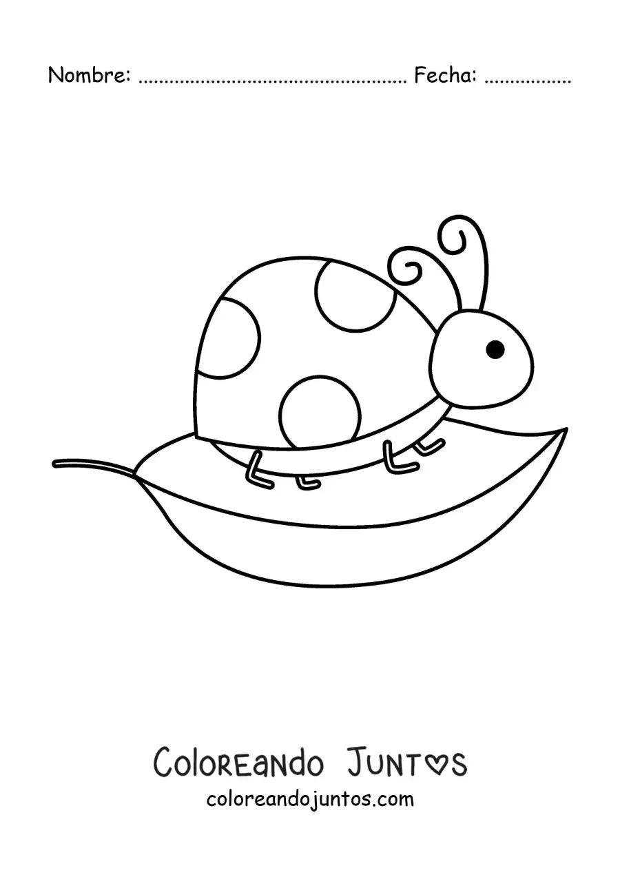 Imagen para colorear de una mariquita animada en una hoja