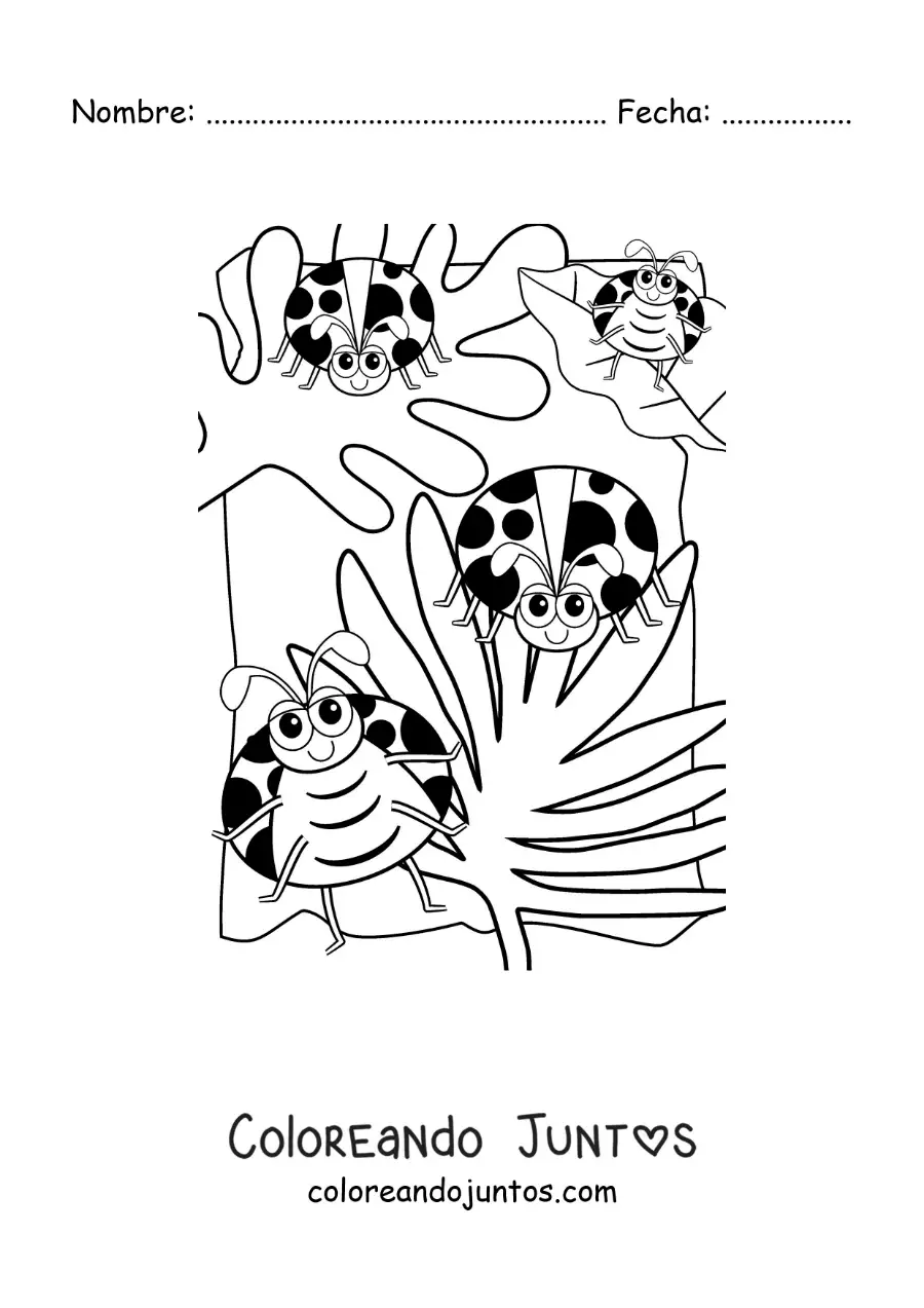 Imagen para colorear de catarinas animadas en un jardín