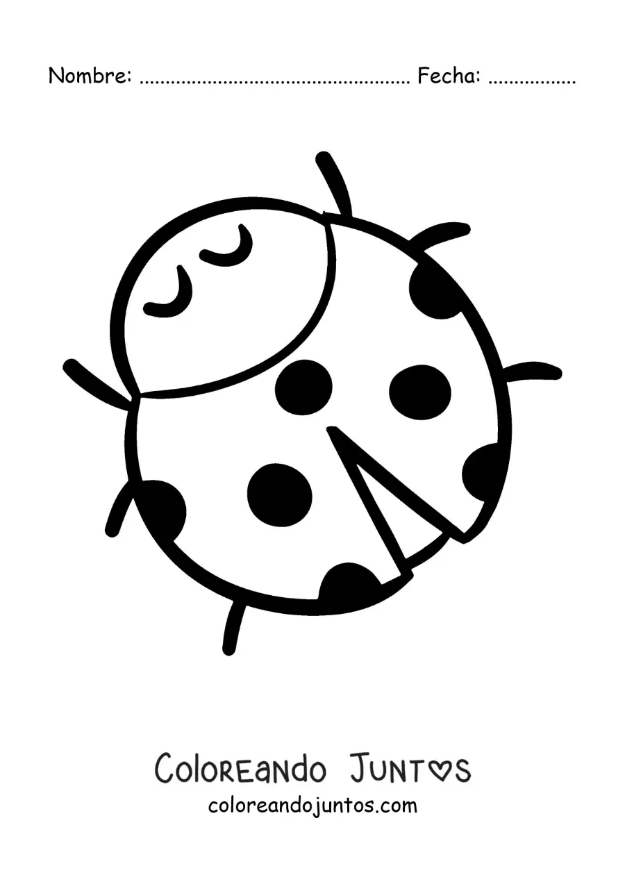 Imagen para colorear de una mariquita animada grande fácil
