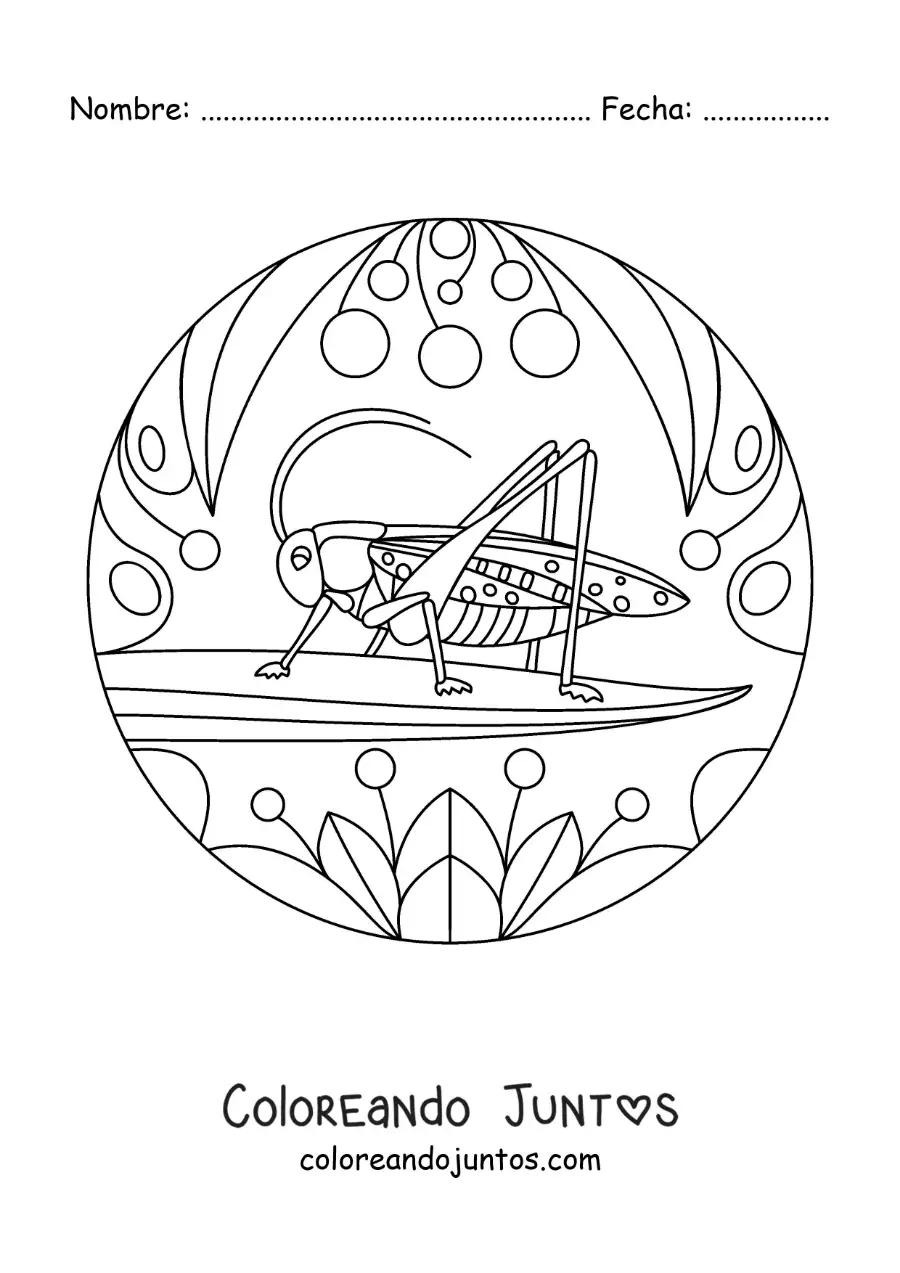 Imagen para colorear de un grillo con flores