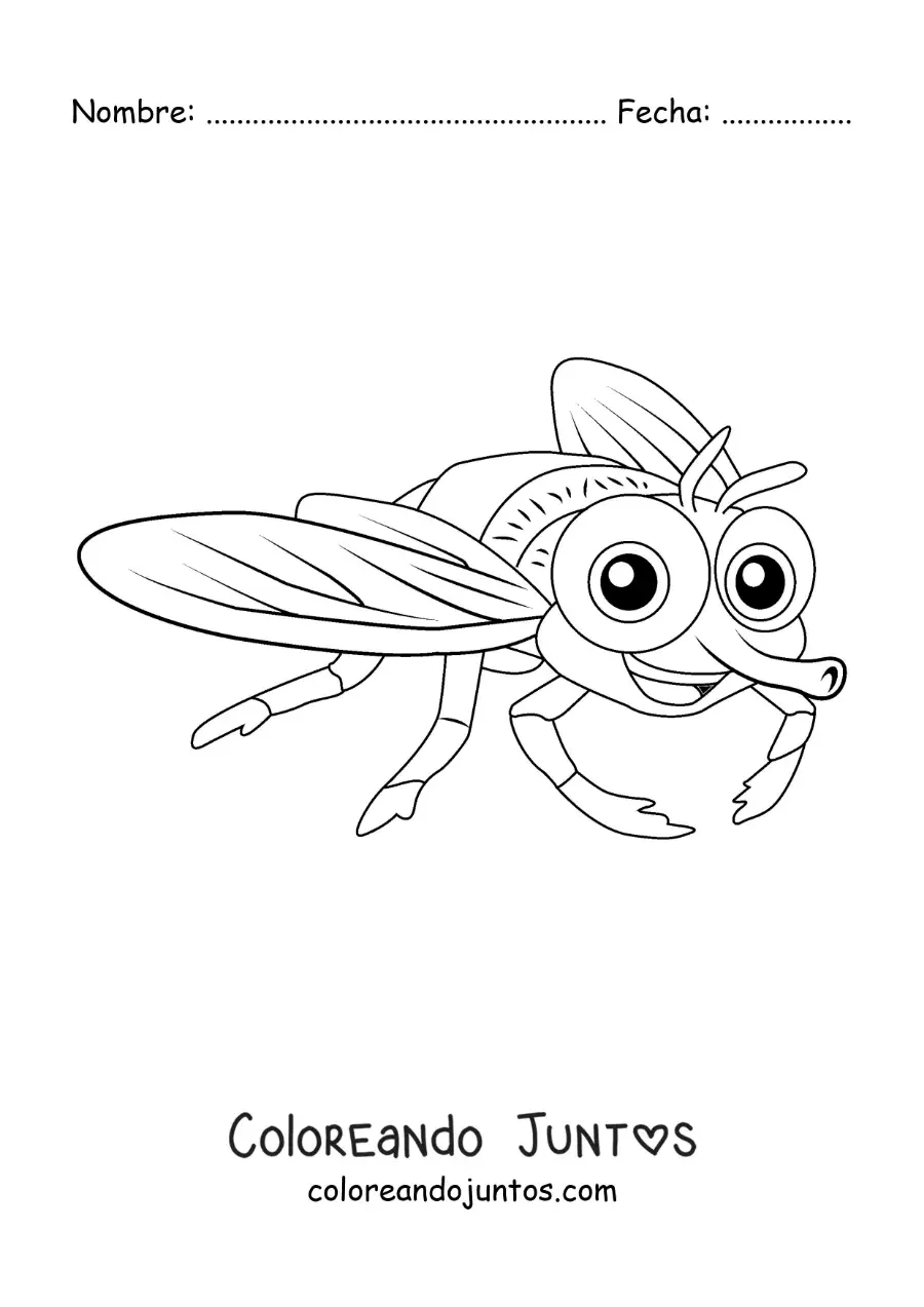 Imagen para colorear de una mosca animada infantil