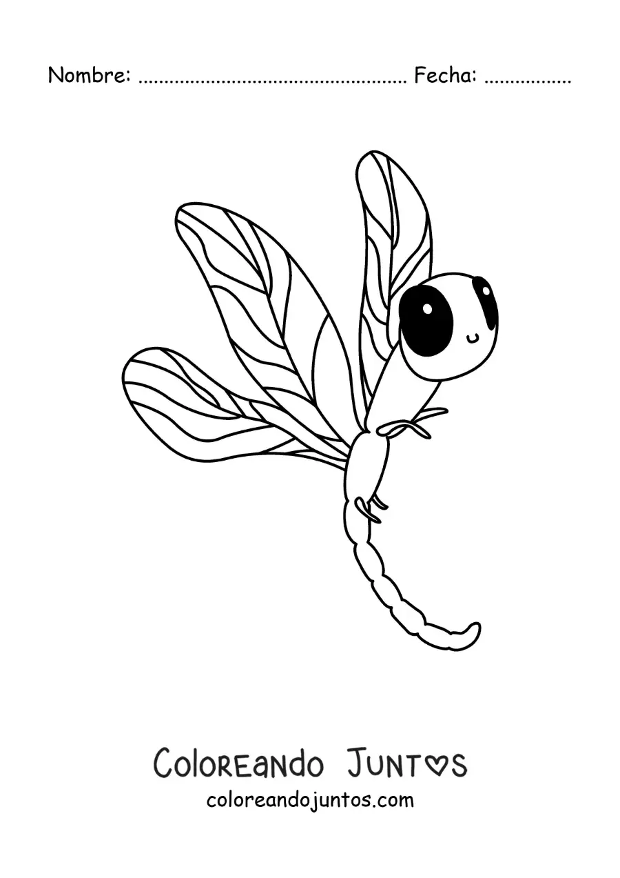 Imagen para colorear de libélula animada infantil