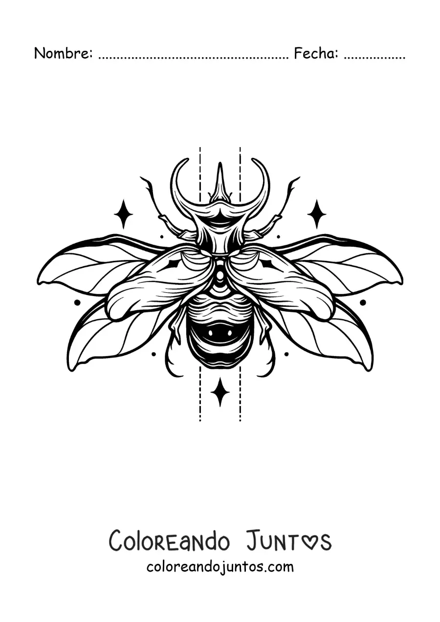 Imagen para colorear de escarabajo volando