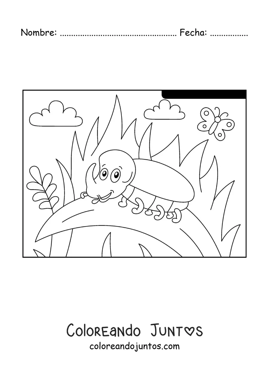 Imagen para colorear de un escarabajo rinoceronte animado en un jardín