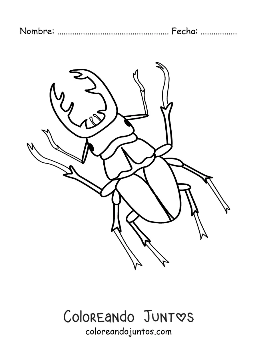 Imagen para colorear de escarabajo ciervo