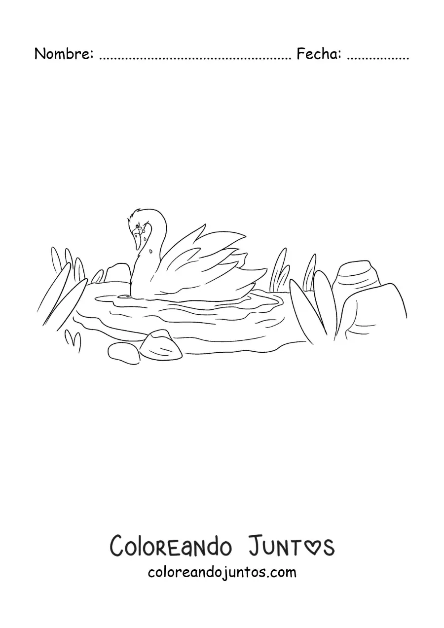Imagen para colorear de el Patito Feo convertido en un hermoso cisne
