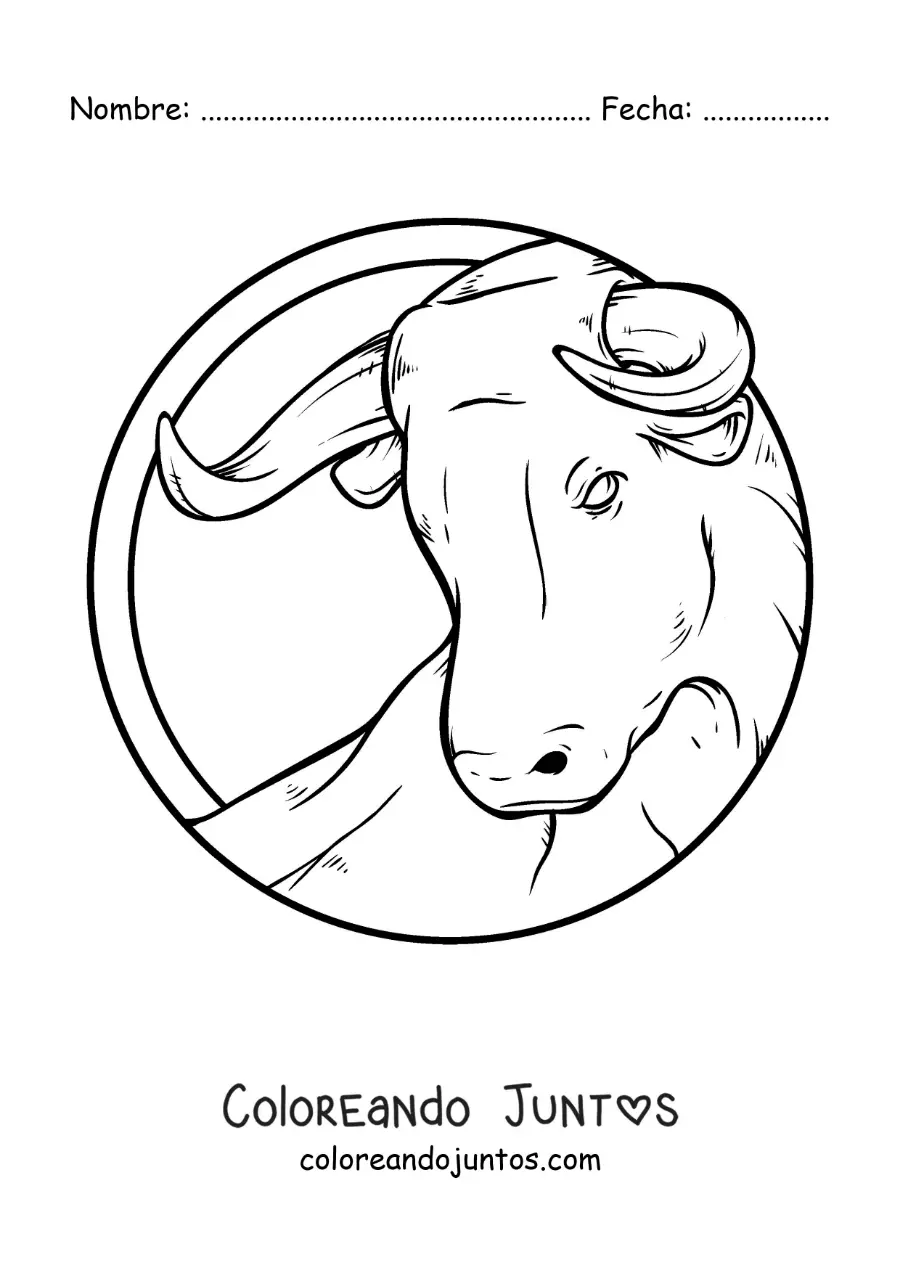 Imagen para colorear del toro del signo zodiacal tauro realista grande