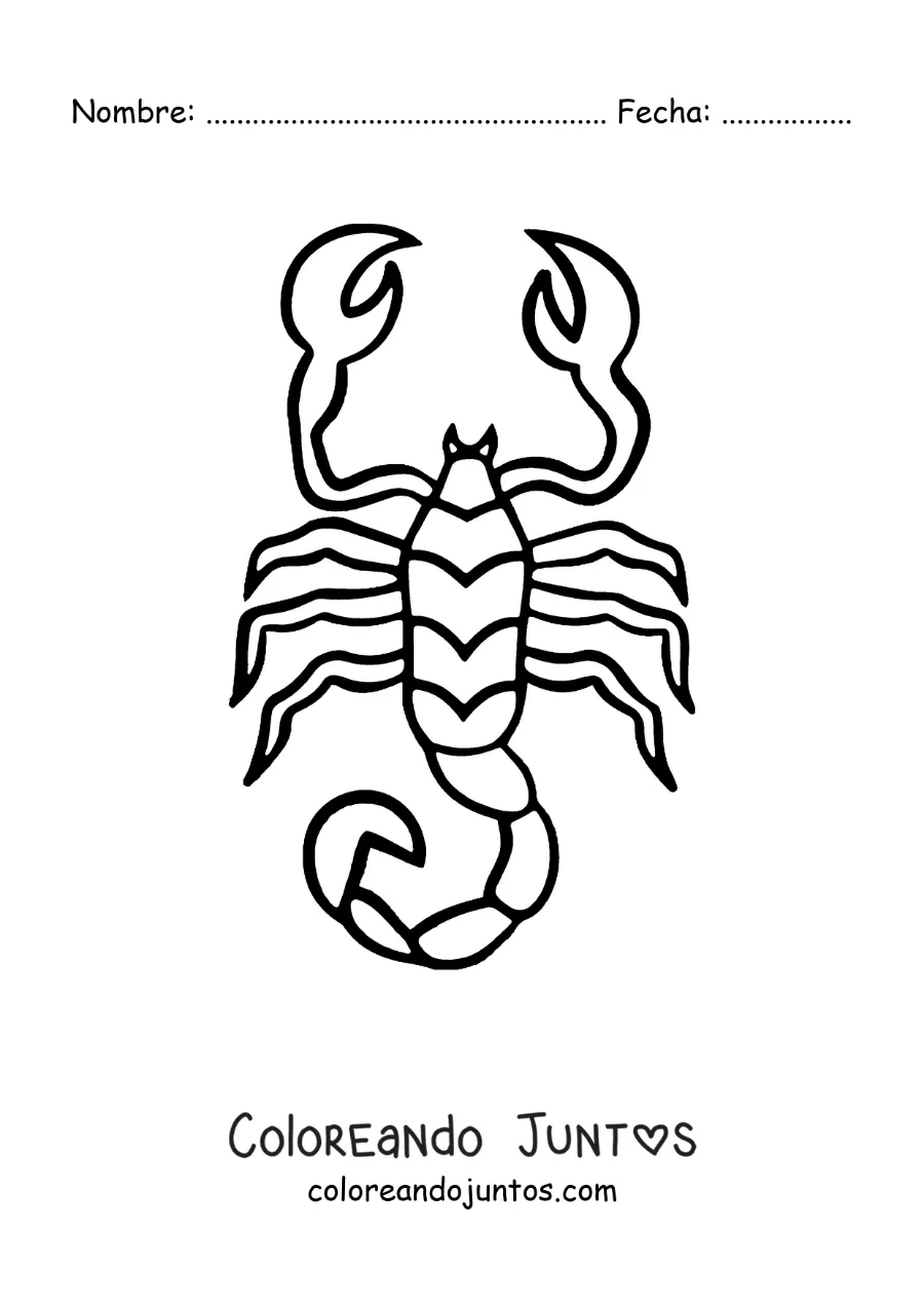 Imagen para colorear de escorpión fácil