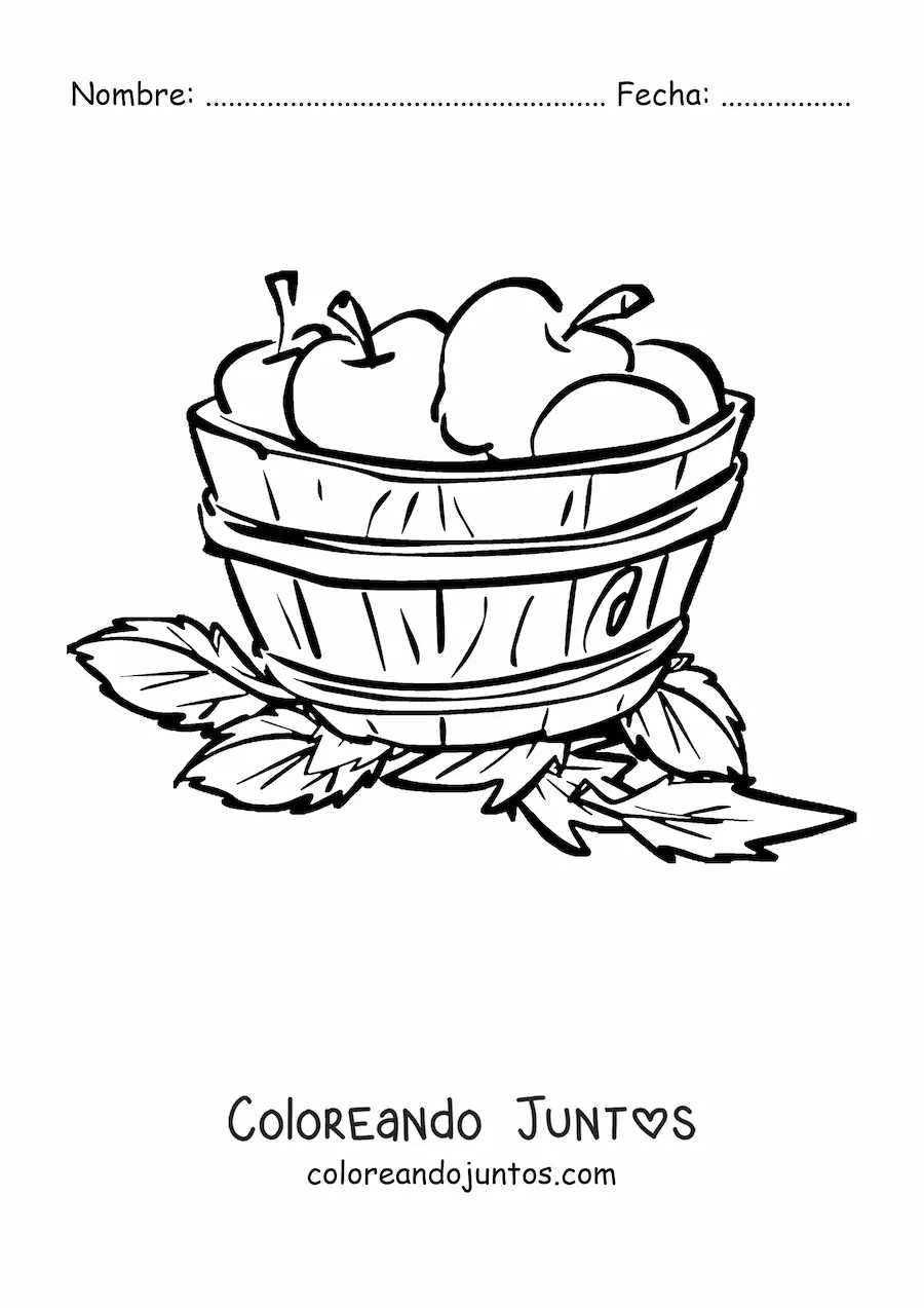 Imagen para colorear de una cubeta de madera llena de manzanas y rodeada de hojas