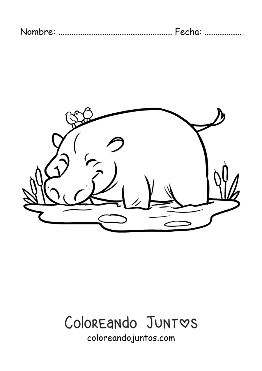 Imagen para colorear de un hipopótamo del zoológico animado bebiendo de un estanque