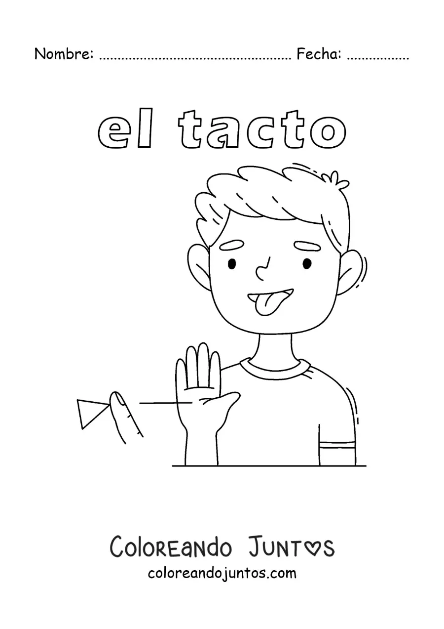 Imagen para colorear de el sentido del tacto en el cuerpo humano para niños