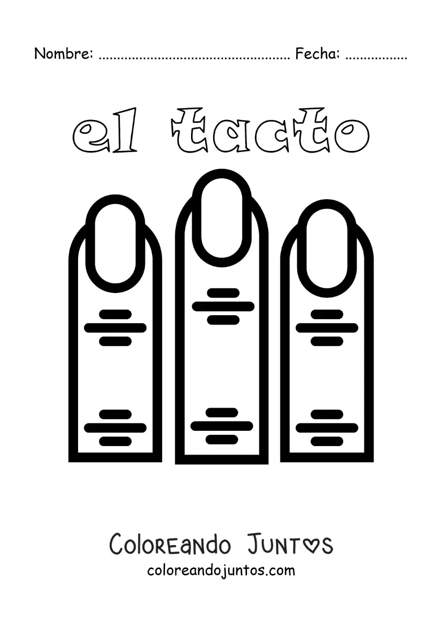 Imagen para colorear de los dedos como parte del sentido del tacto