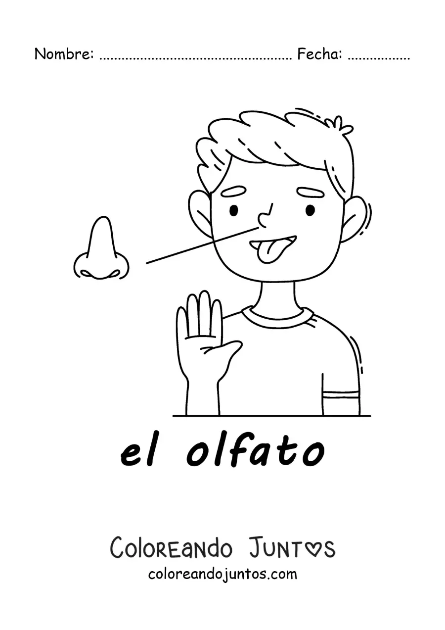 Imagen para colorear de el sentido del olfato en el cuerpo humano para niños
