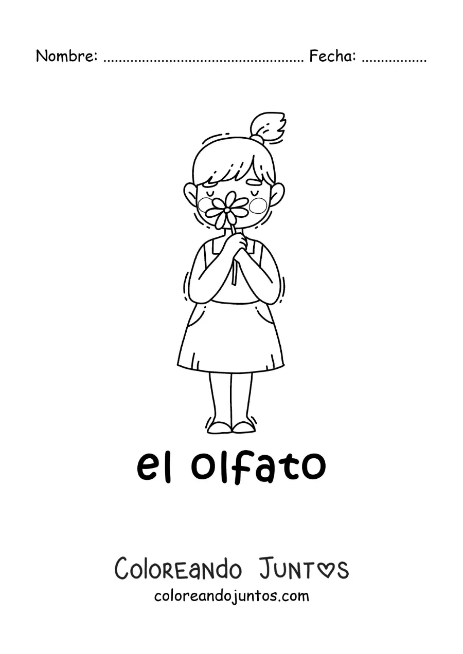 Imagen para colorear de una niña usando el sentido del olfato para oler una flor