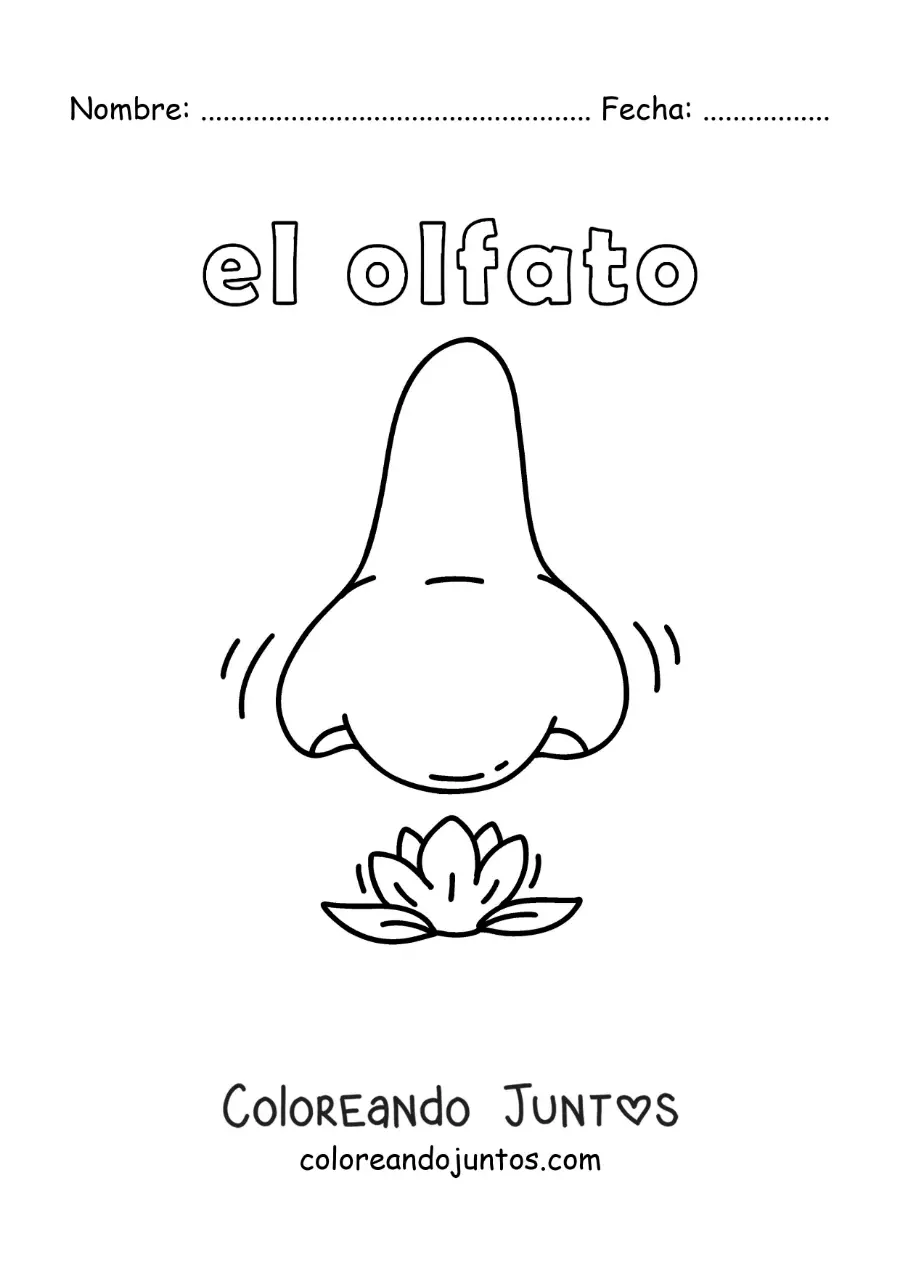 Imagen para colorear de una nariz oliendo una flor