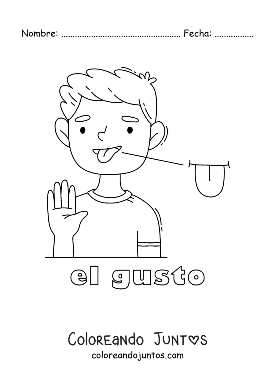 Imagen para colorear de el sentido del gusto en el cuerpo humano para niños