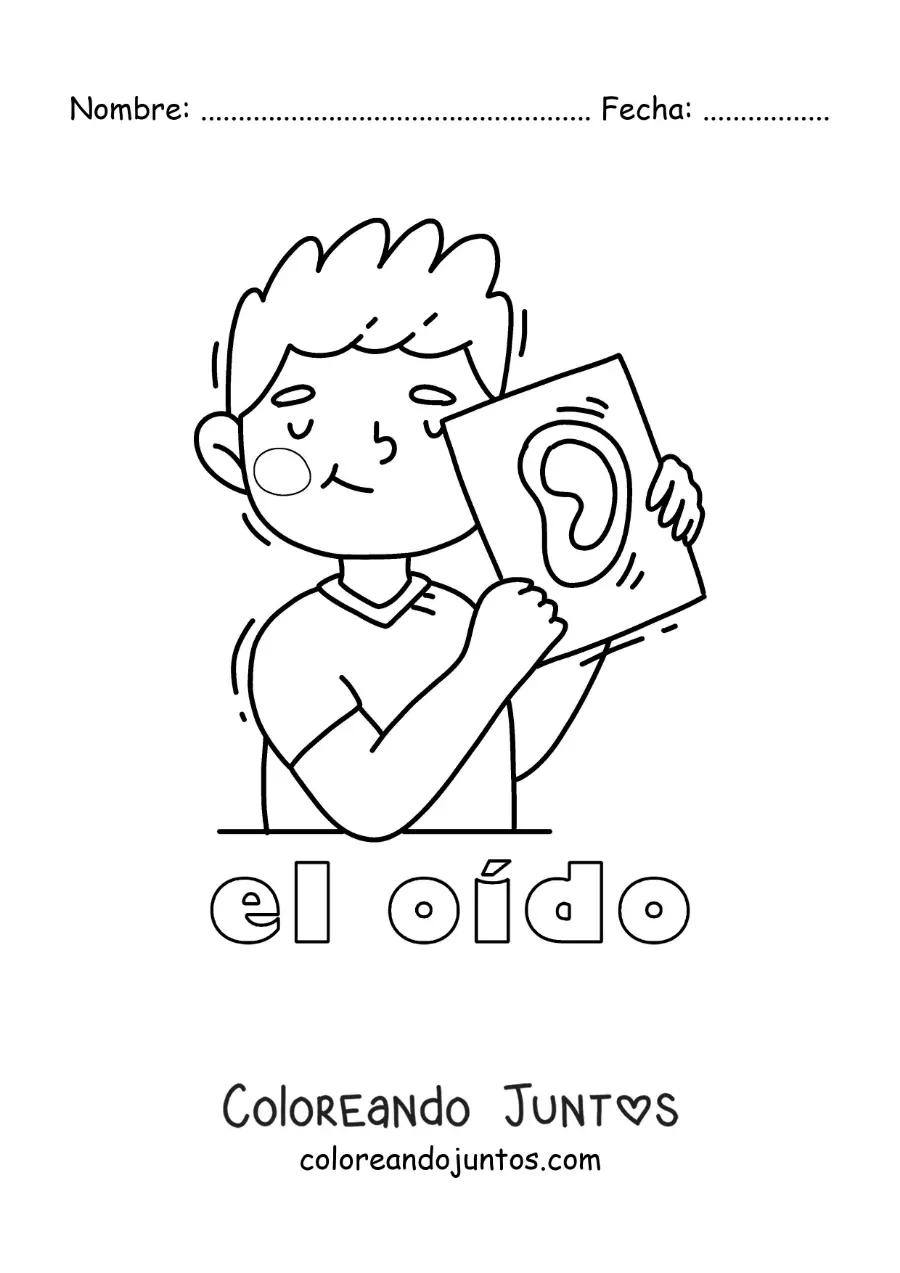 Imagen para colorear de un niño mostrando su oído con el texto "el oído"