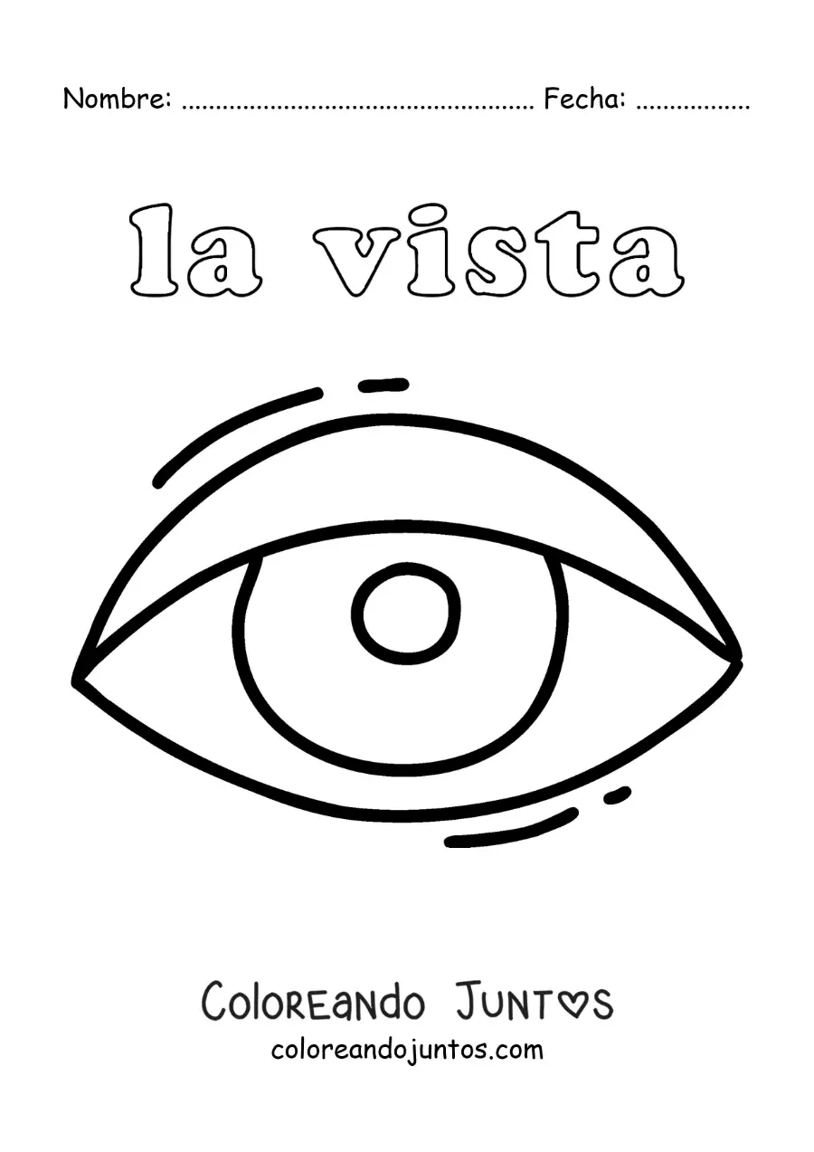 Imagen para colorear de el ojo y el sentido de la vista