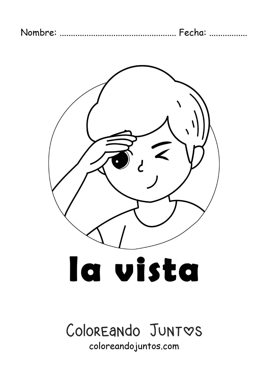 Imagen para colorear de un niño viendo a lo lejos con el texto "la vista"
