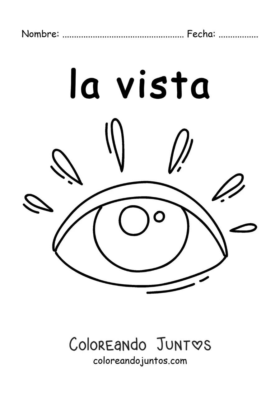 Imagen para colorear de ficha educativa del sentido de la vista