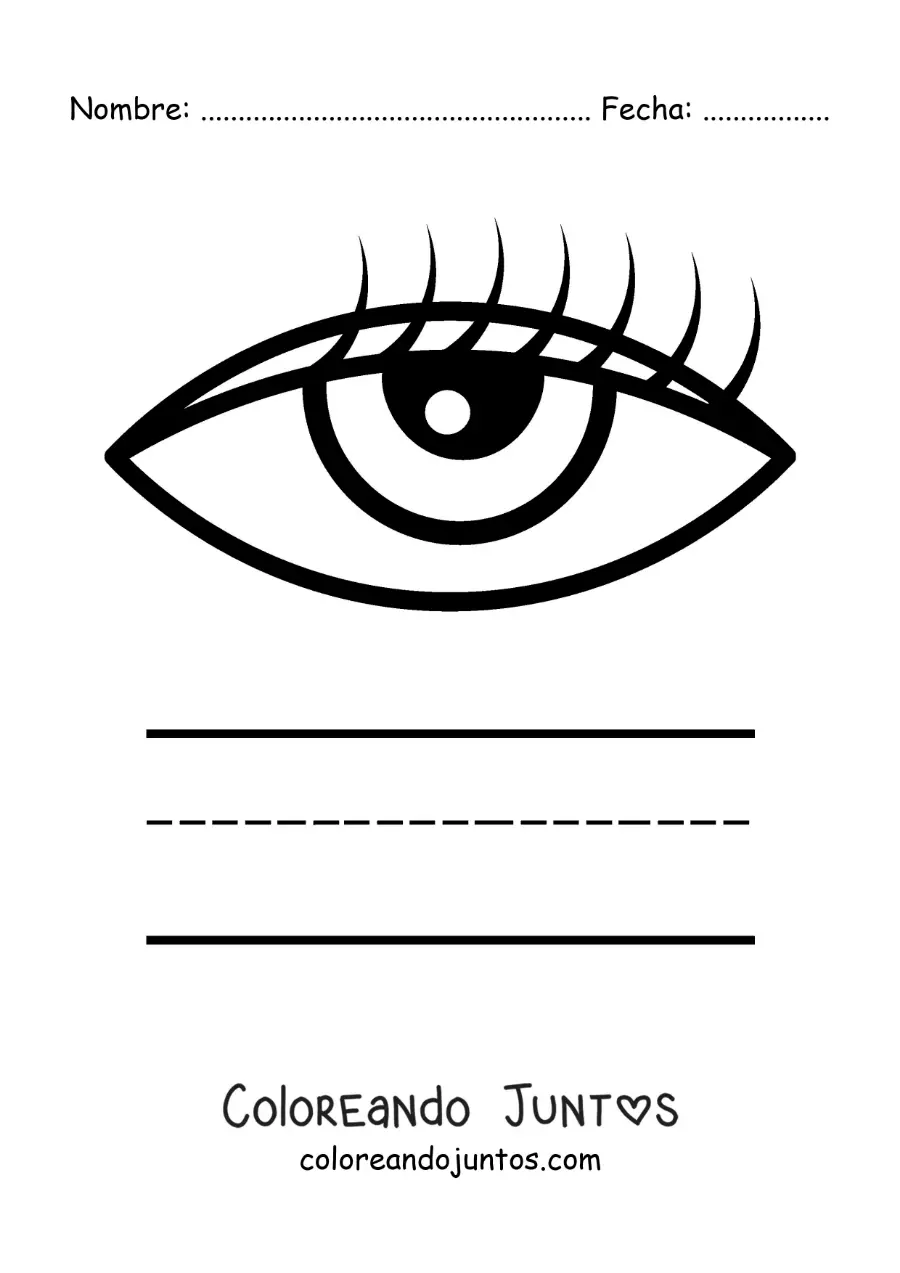 Imagen para colorear de actividad educativa para niños del sentido de la vista