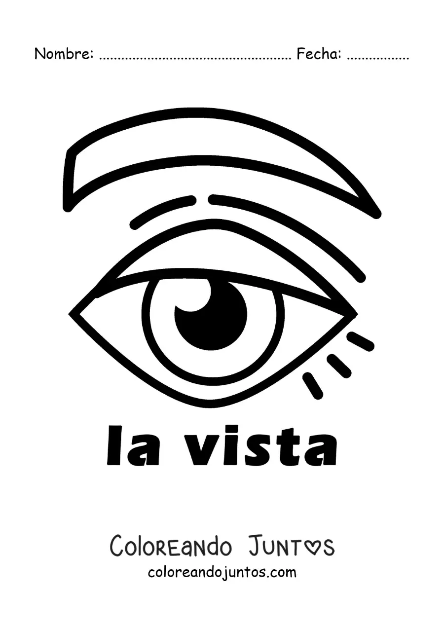 Imagen para colorear de el ojo como símbolo del sentido de la vista para niños