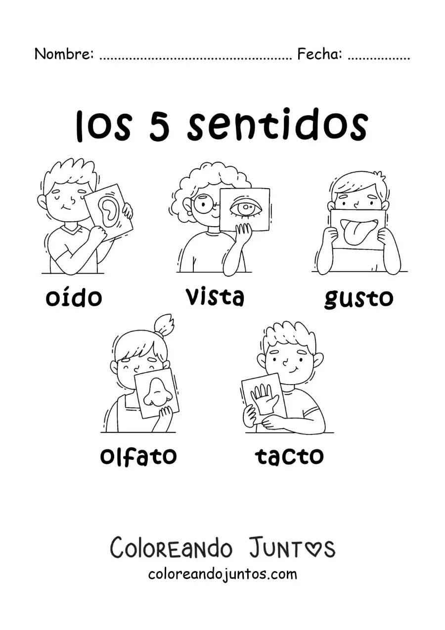 Imagen para colorear de niños animados con los 5 sentidos