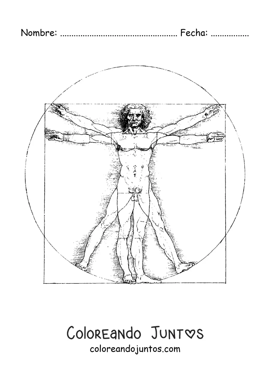 Imagen para colorear de el hombre de vitruvio de da vinci