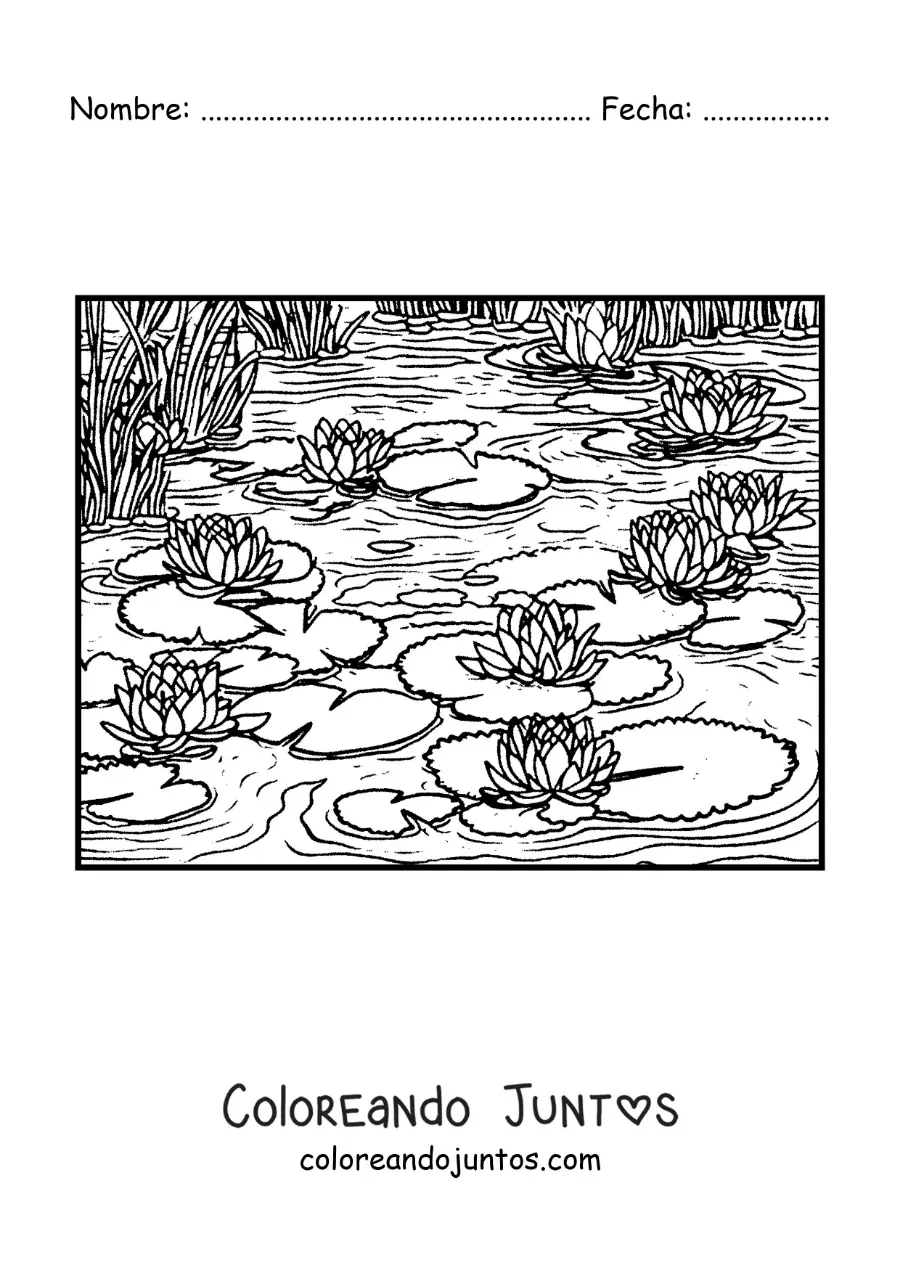 Imagen para colorear de nenúfares al estilo de Monet