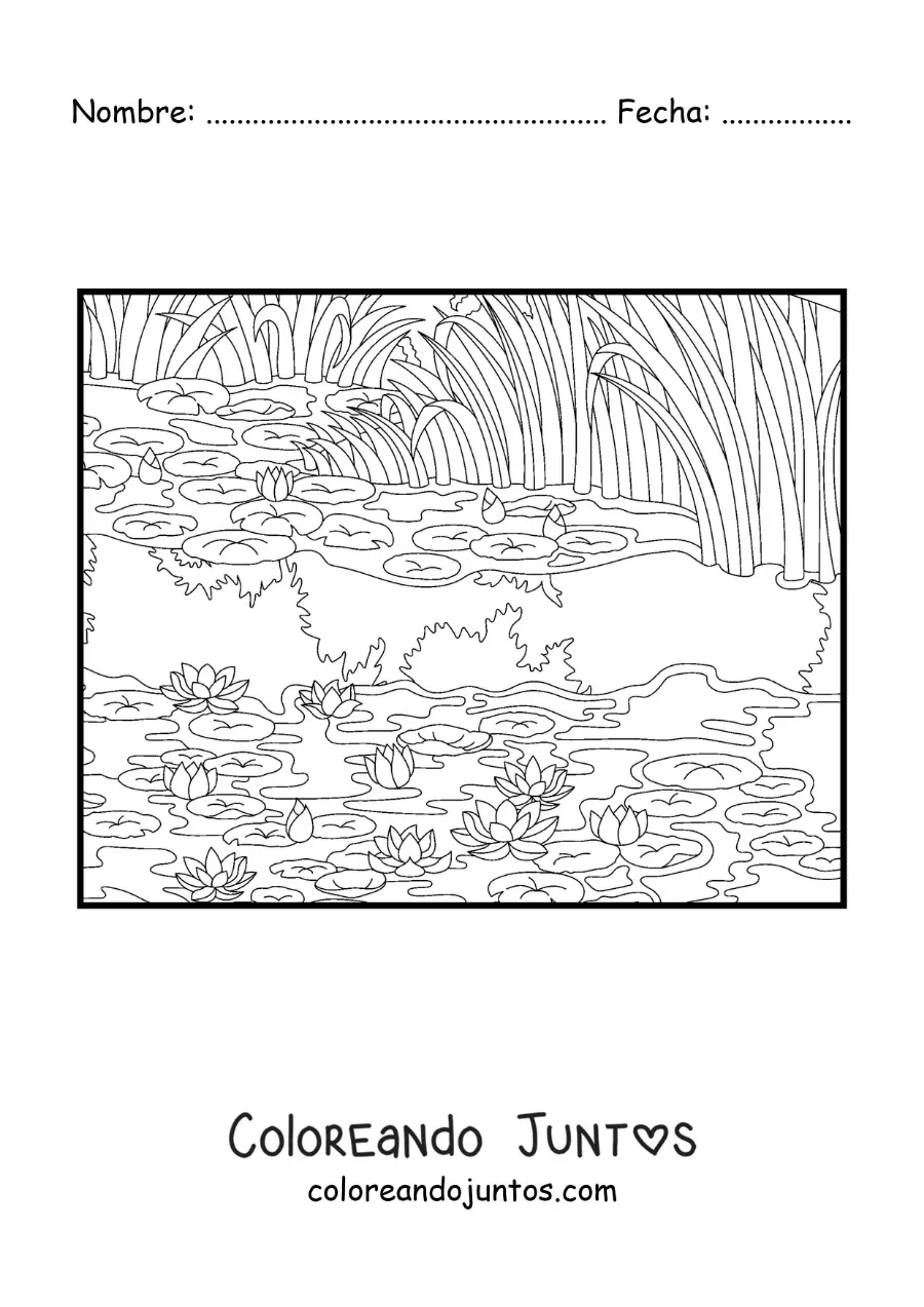 Imagen para colorear de nenúfares impresionistas de Monet