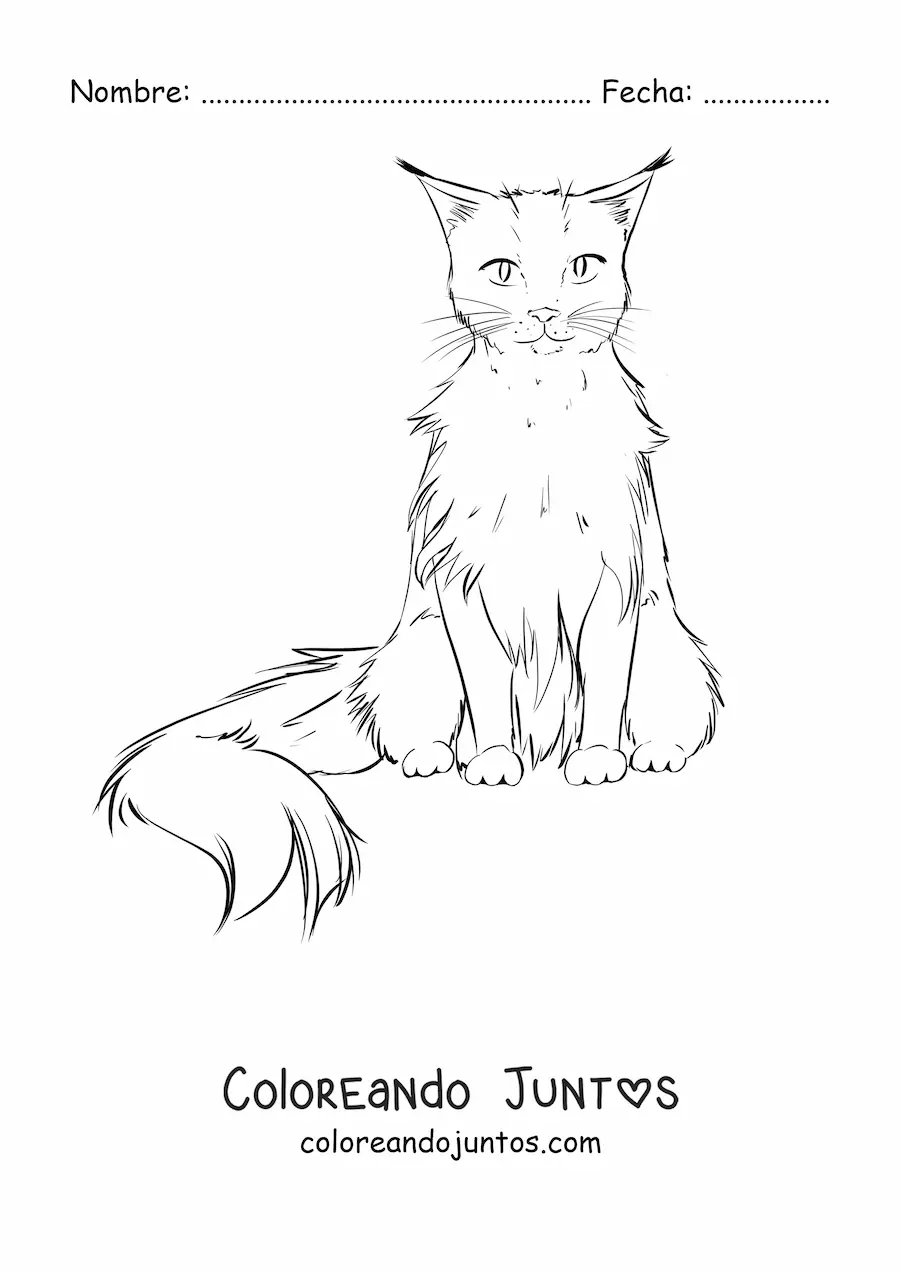 Imagen para colorear de un gato realista sentado