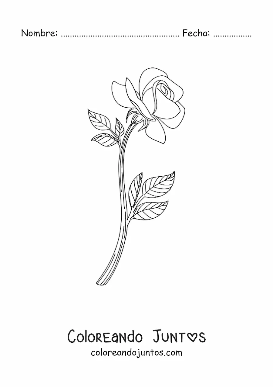 Imagen para colorear de una rosa realista pequeña con hojas