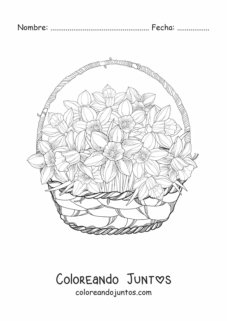 Imagen para colorear de una cesta de orquídeas cattleya