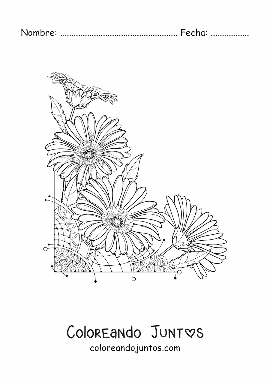 Imagen para colorear de cuatro hermosas margaritas