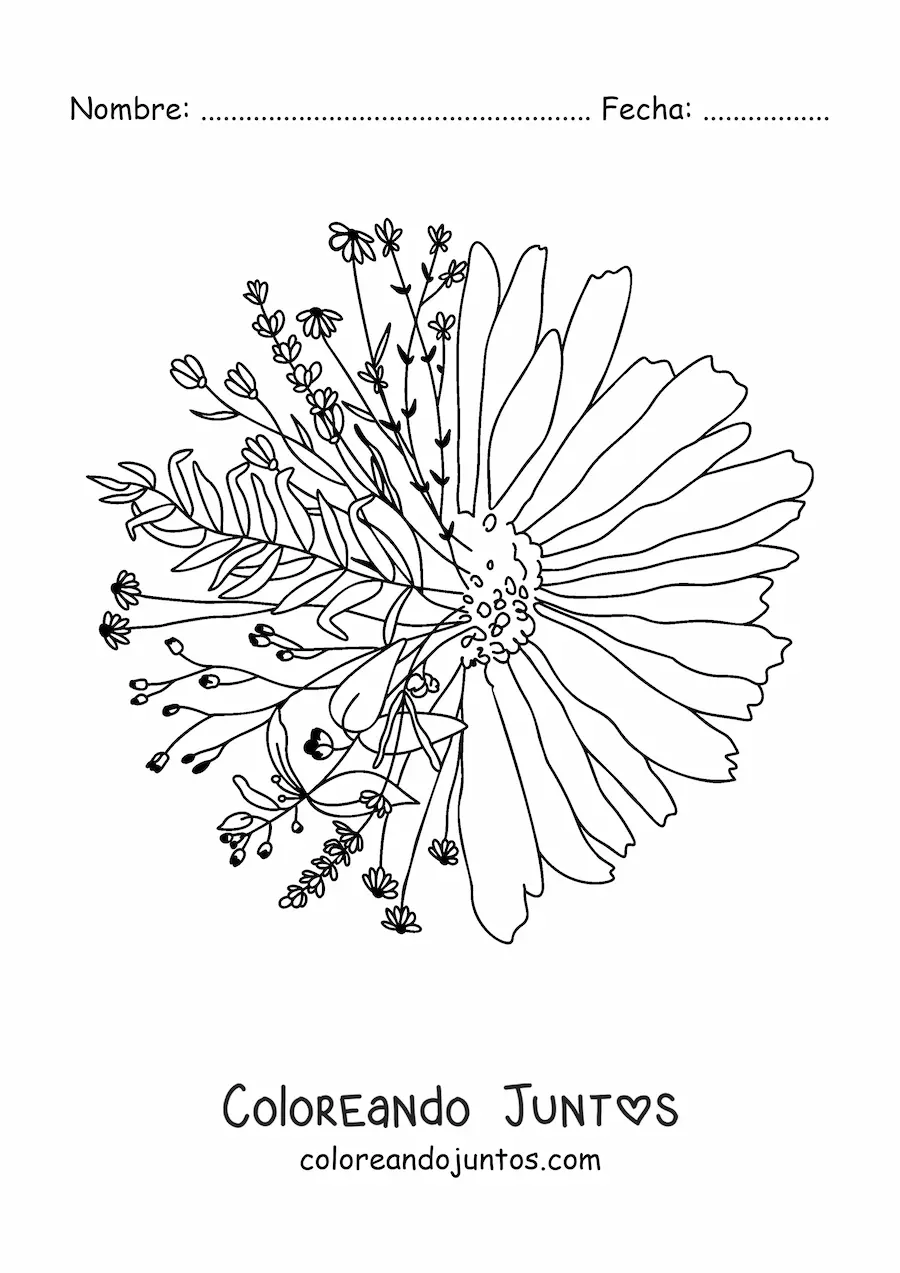 Imagen para colorear de una hermosa margarita