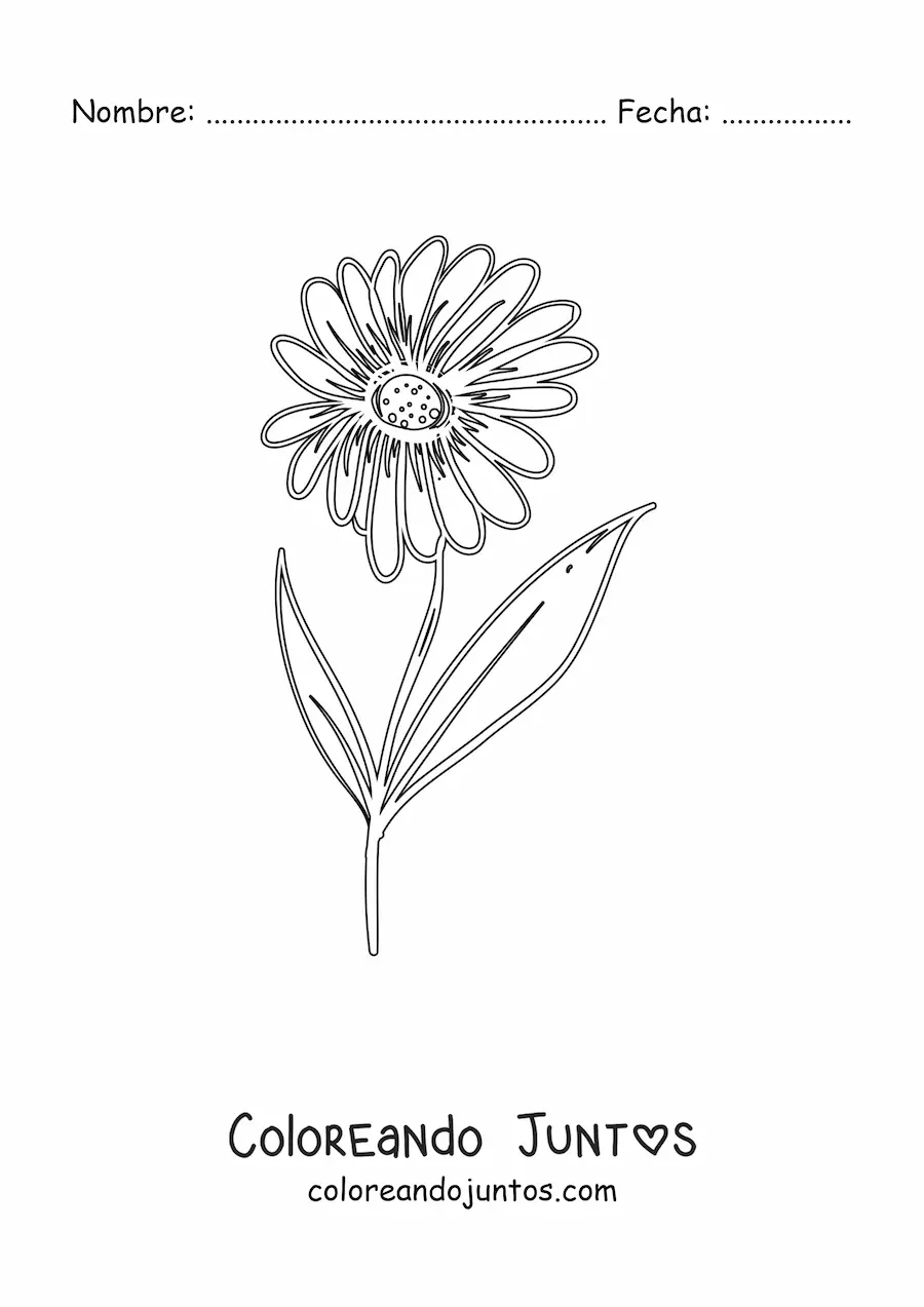 Imagen para colorear de una margarita con hojas