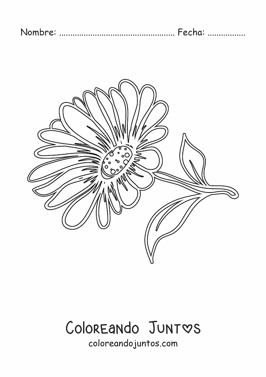 Imagen para colorear de una margarita