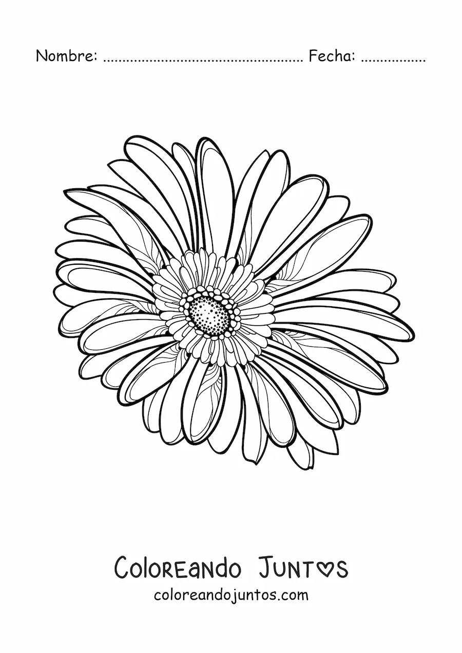 Imagen para colorear de una margarita grande realista