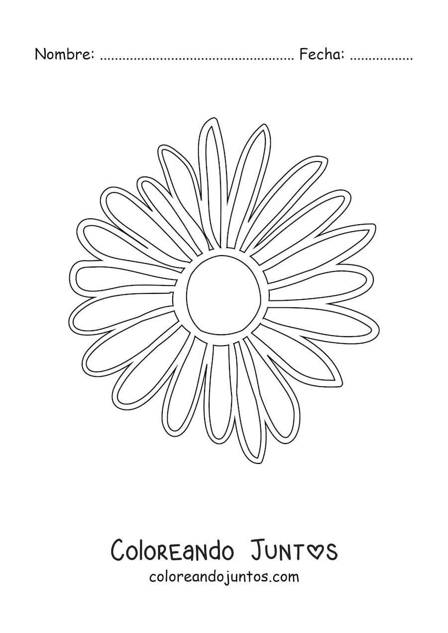 Imagen para colorear de una margarita grande sencilla