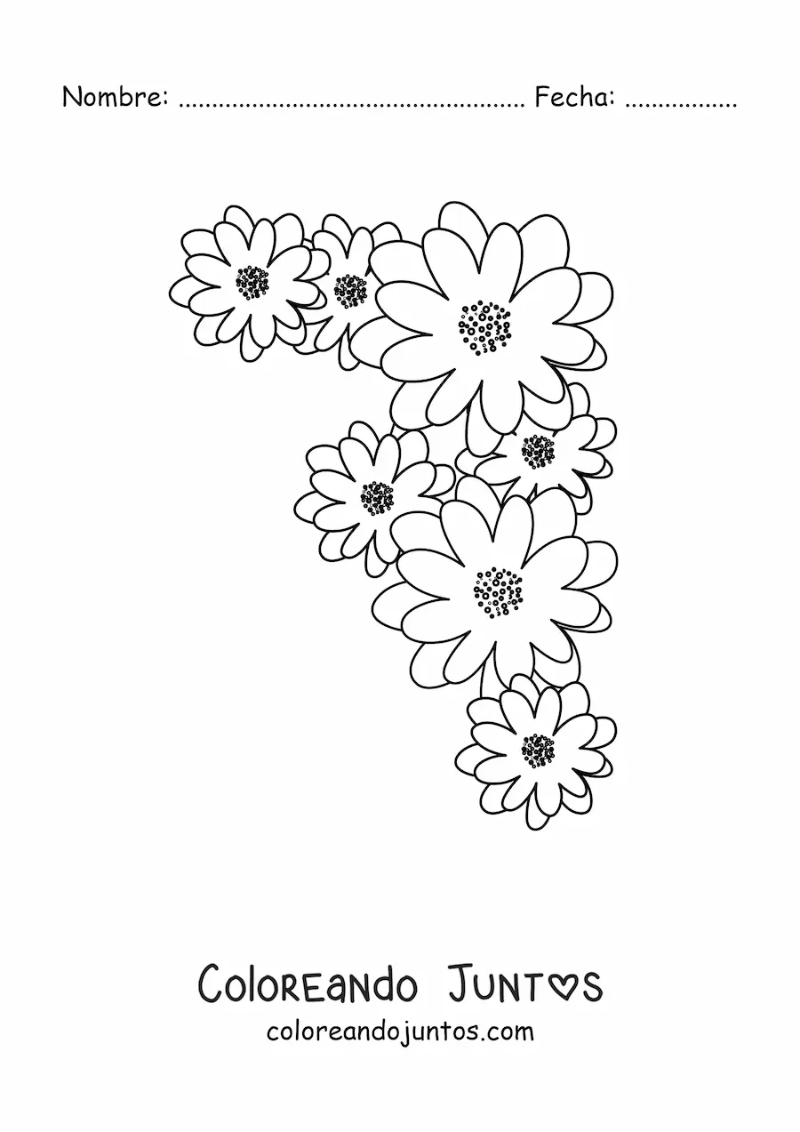 Imagen para colorear de varias margaritas pequeñas