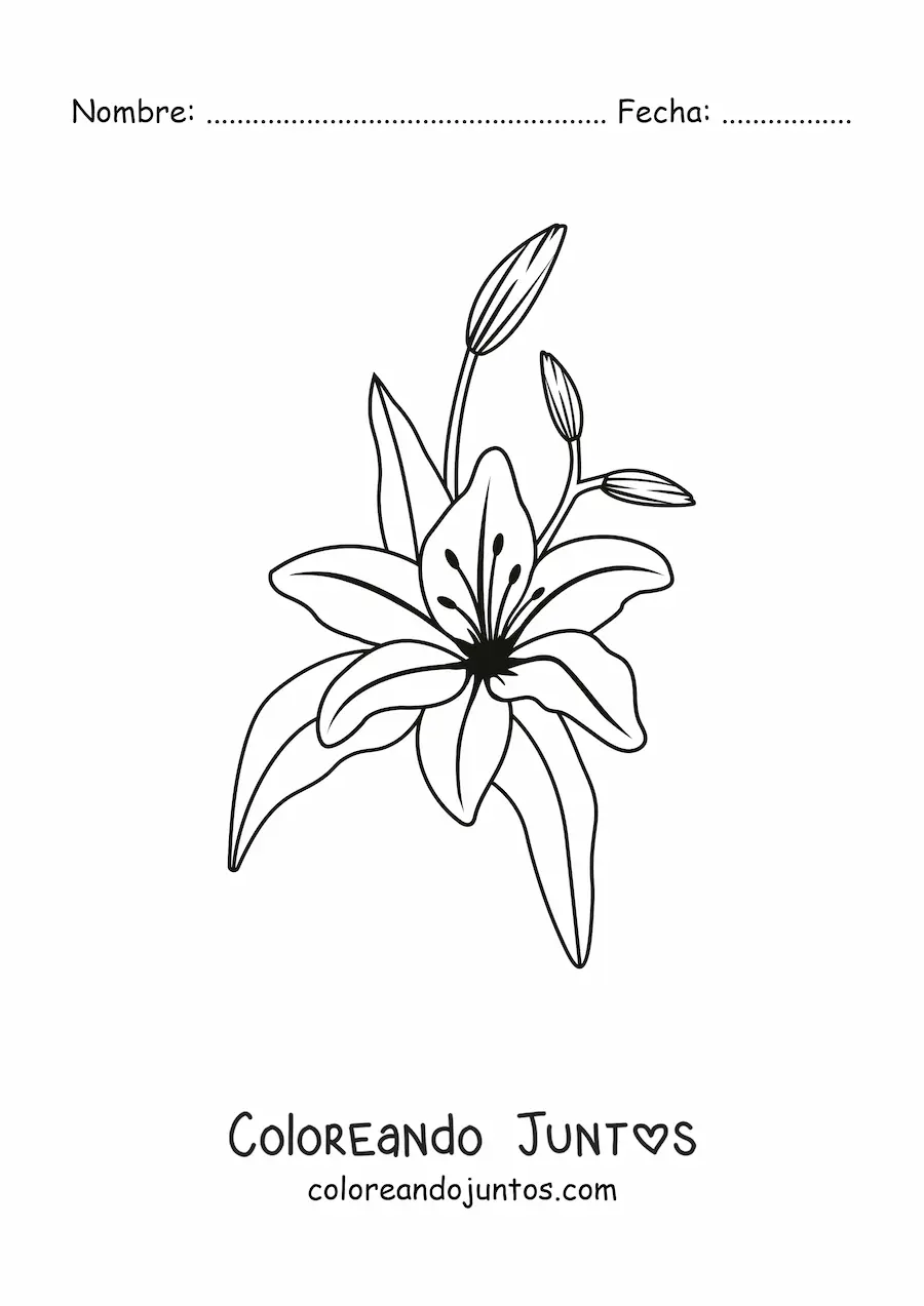 Imagen para colorear de un lirio con hojas